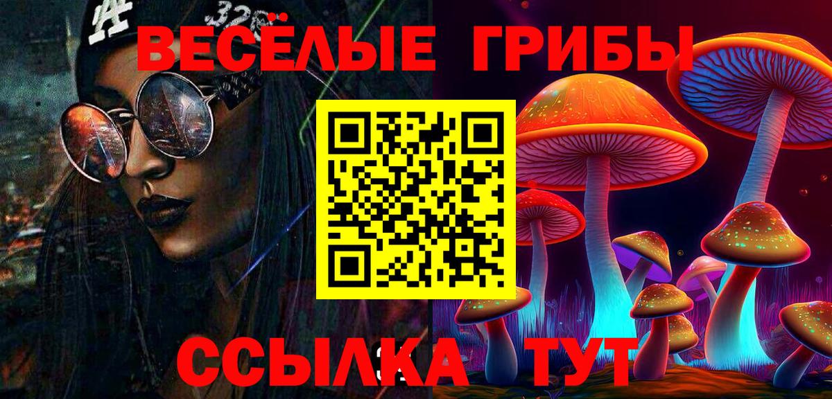 Волжск  Псилоцибиновые грибы ЛСД  Вход с VPN  Псилоцибиновые грибы GOLDEN TEACHER 
